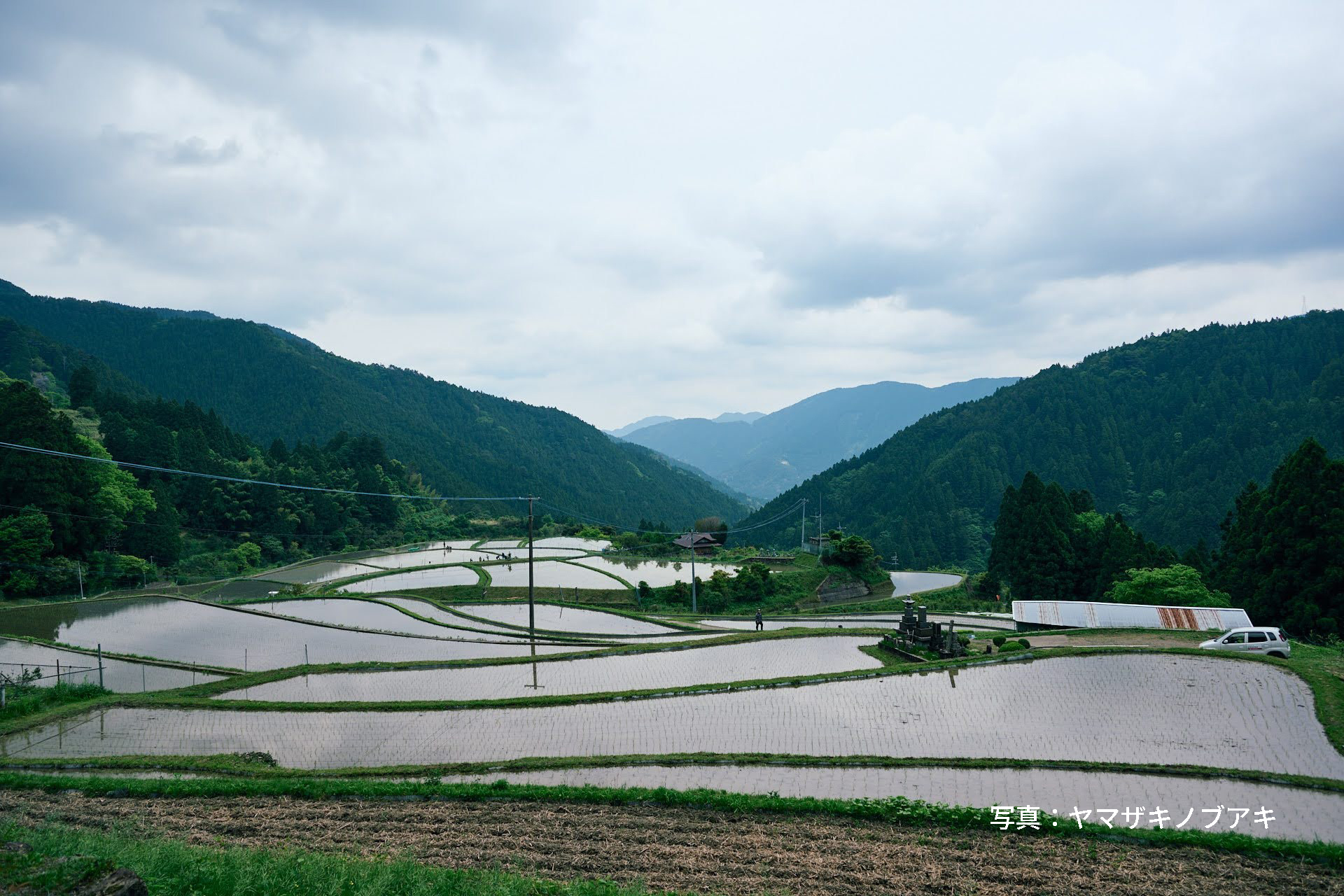 棚田と山の風景